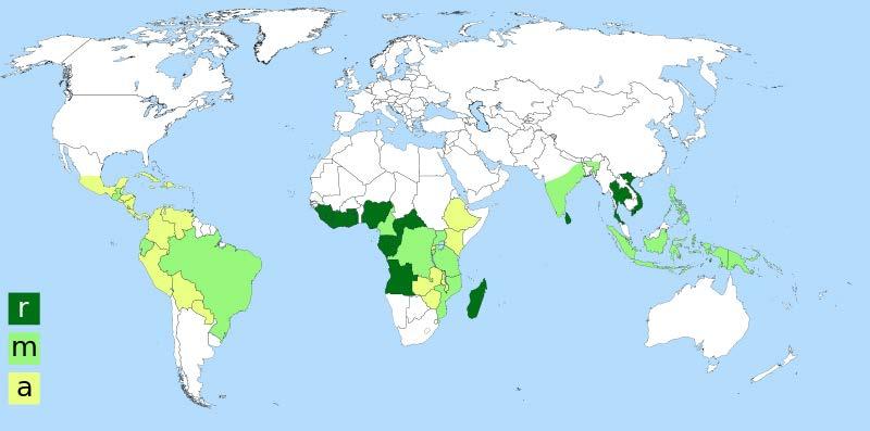 1.2.4 Arten und Sorten Abbildung 6: Kaffeeanbaugebiete der 14 größten Kaffeeproduzenten der Welt: r robusta, a arabica, m gemischt [17] Arabicakaffee ist trotz der Tatsache, dass aus Qualitätsgründen