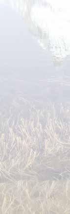 09.2017 Almabtrieb in Maurach am Achensee 10.09.2017 Maria Einsiedeln in der Schweiz 17.09.2017 Bernina Express von Pontresina nach Tirano 07.10.2017 Almabtrieb in Mayrhofen im Zillertal 29.