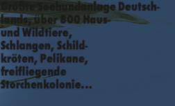 Fachdienst Familie 19:30 Uhr Die tiefe Beinvenenthrombose Entstehung - Therapie & Prognose VHS Rendsburg, Rendsburg Donnerstag, 29.06.