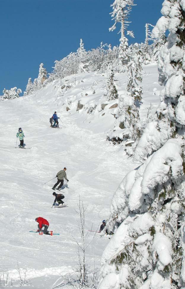 Liebe Wintersportgäste, mit dem neuen OchsenkopfSkiguide präsentieren wir Ihnen unser alpines Skiangebot in der Erlebnisregion Ochsenkopf im Hohen Fichtelgebirge mit seinen vier Gemeinden