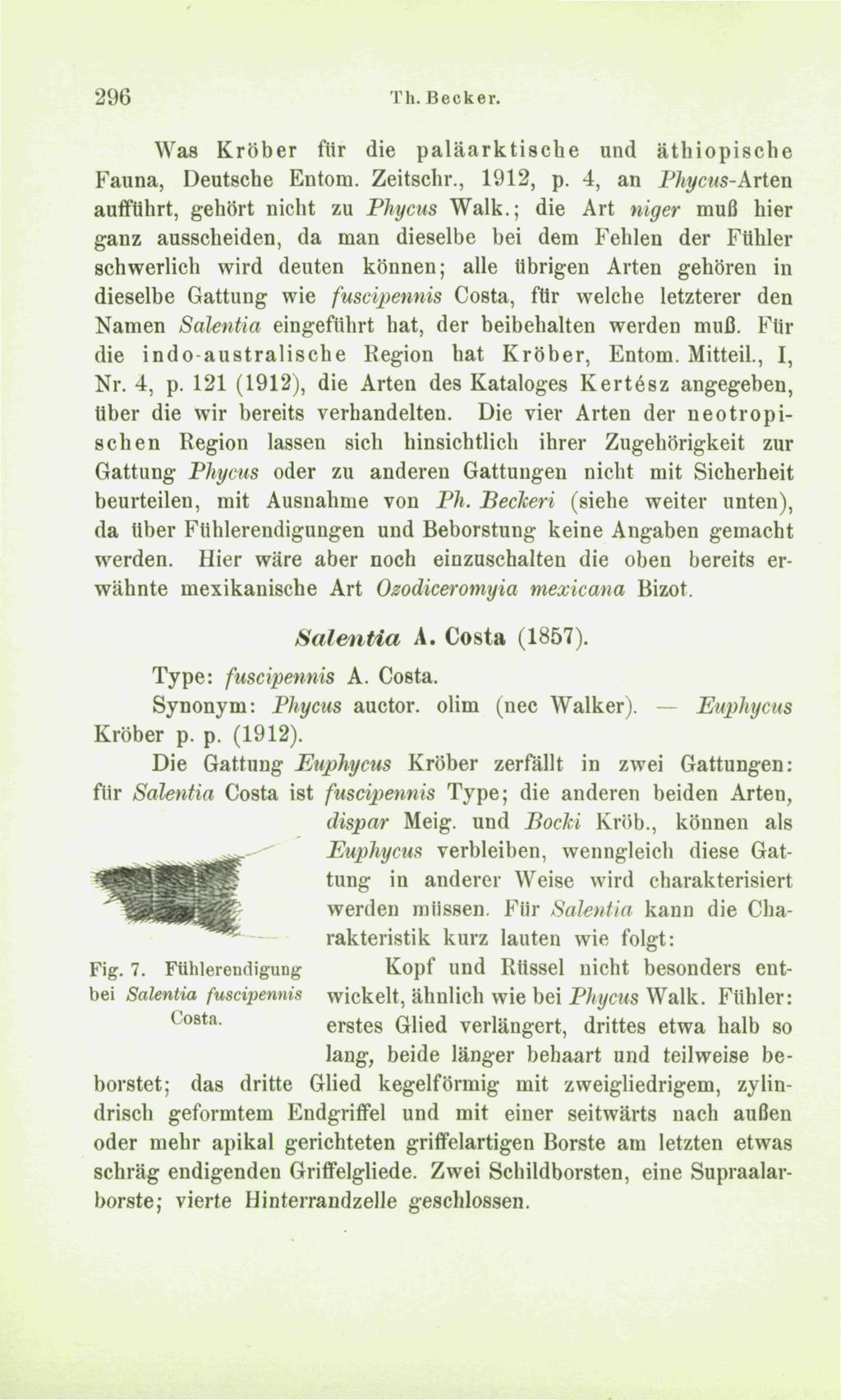 296 Th. Becker. Was Kröber für die paläarktische und äthiopische Fauna, Deutsche Entom. Zeitschr., 1912, p. 4, an Fhycus-Arten aufführt, gehört nicht zu Phycus Walk.