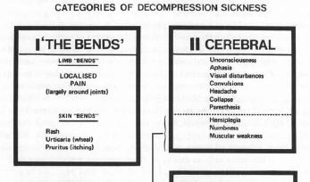 DCI: Decompression Illness (Überbegriff DCS + C/AGE) DCS: