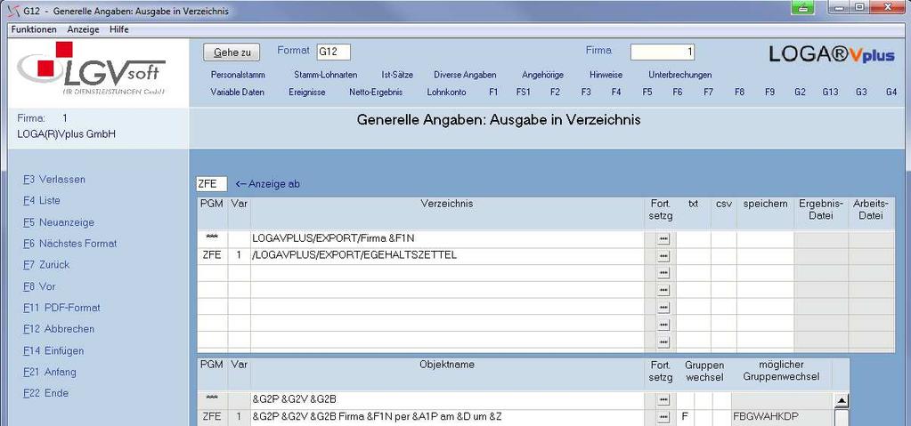 Als erster Schritt muss die neue Auswertung im Format G2 definiert werden: Hinzufügen des Programms ZFE mit gewünschter Sortierung.