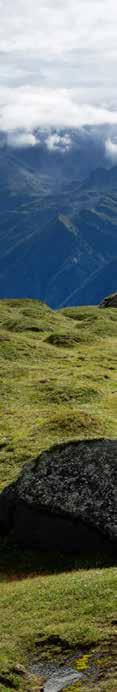 30 Tierisch spannend Das Alpen-Murmeltier Bergbewohner mit Pfiff Steckbrief: Wissenschaftlicher Name: Marmota marmota marmota Familie: Das Murmeltier zählt zur Familie der Hörnchen, zu der auch