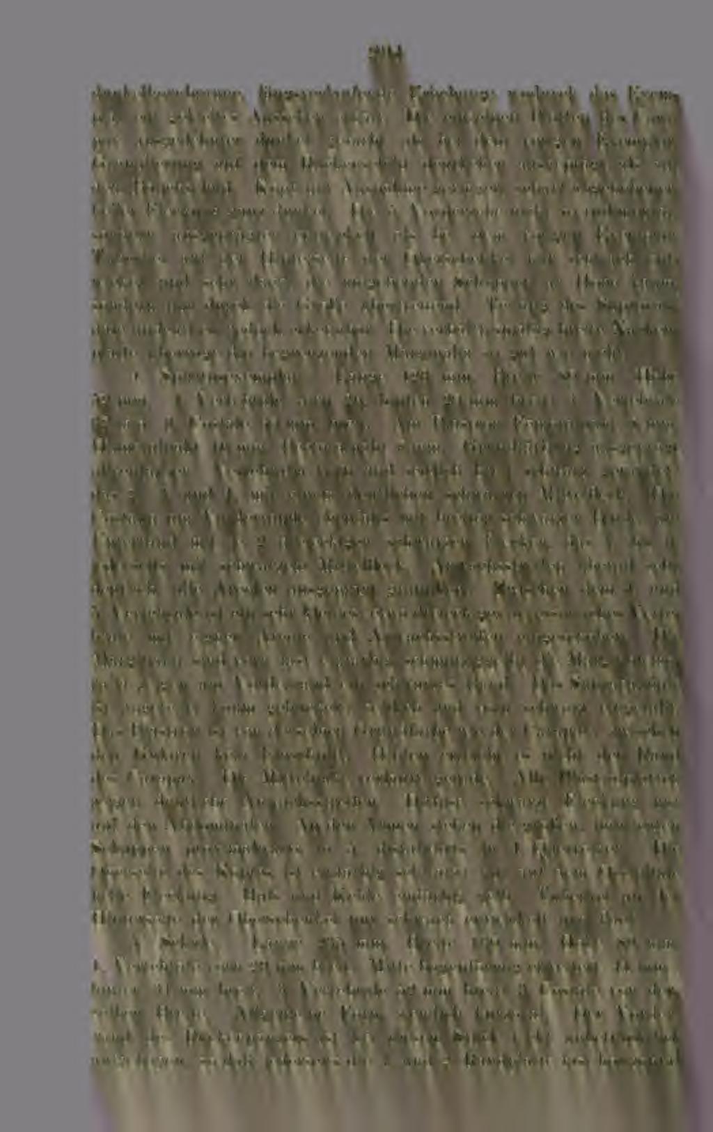 294 dunkelhornbraune, längsverlaufende Erhebung; wodurch das Exemplar ein gekieltes Aussehen erhält. Die einzelnen Platten des Carapax ausgedehnter dunkel gefärbt als bei dem vorigen Exemplar.