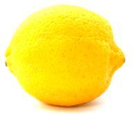 V13 Ein Kunststoff aus Zitronensäure!