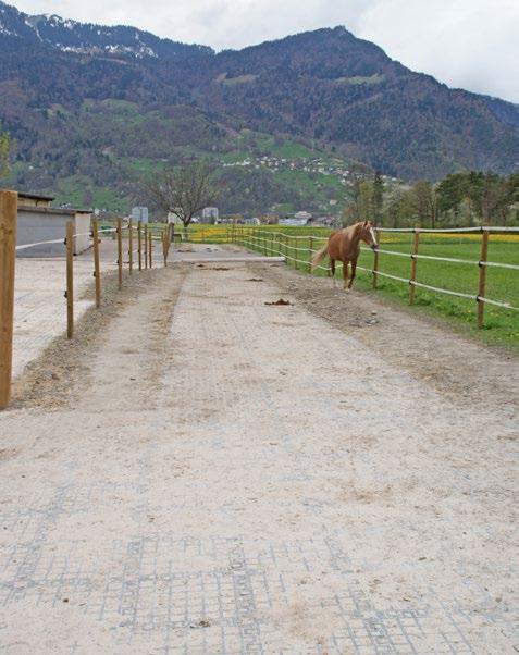 Der Laufgang ist sechs Meter breit, damit die Pferde einander ausweichen können. Bleibt ein Pferd auf dem Laufgang stehen z. B. um zu ruhen, muss ein rangniedriges Pferd die Möglichkeit haben, an ihm vorbei zu kommen.