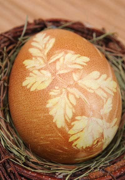 4/5 Verzierungstechniken 1. Marmorierung: Man kann mit einen Plastikhandschuh etwas Eierfarbe verteilen und ein abgekochtes, noch warmes, Ei darin wälzen.