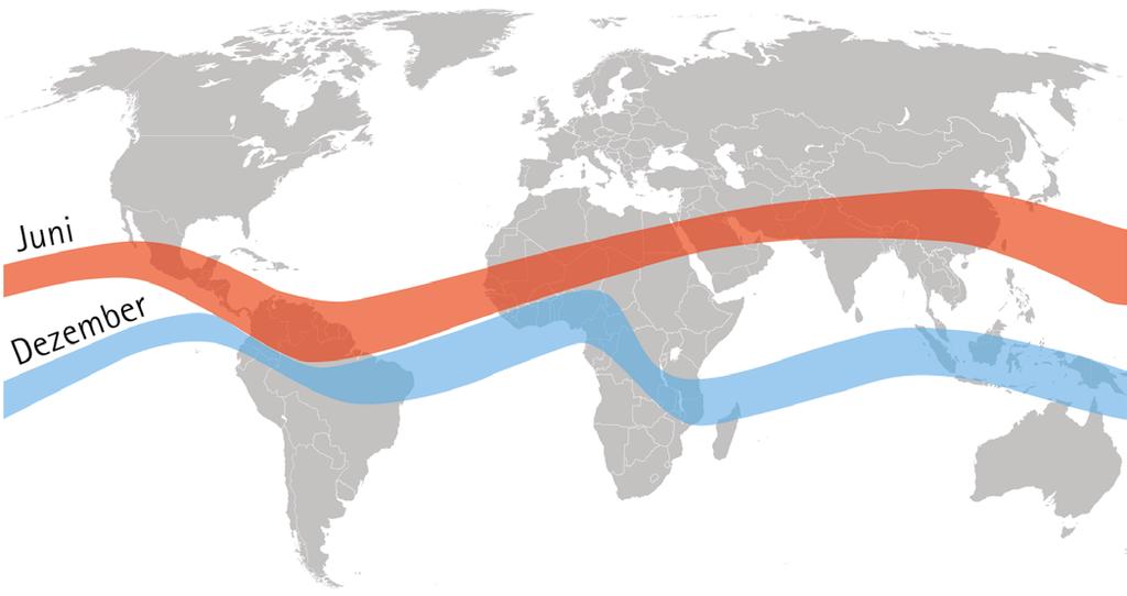Die konstanten Niederschläge führen gemeinsam mit der intensiven Sonneneinstrahlung zur Ausprägung des Regenwaldklimas.