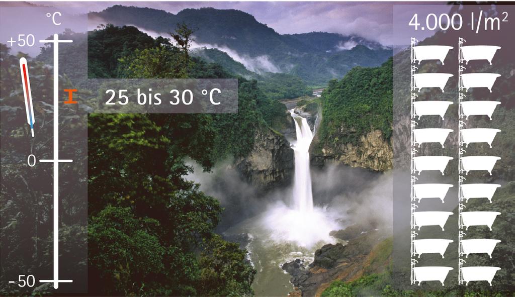 ABBILDUNG 461: Amazonas-Regenwald Temperaturmittelwert für Nacht und Tag ABBILDUNG 462: Sahara, Temperaturmittelwert für Nacht und Tag QUELLE: Allianz Umweltstiftung - BILD: Imageunion QUELLE: