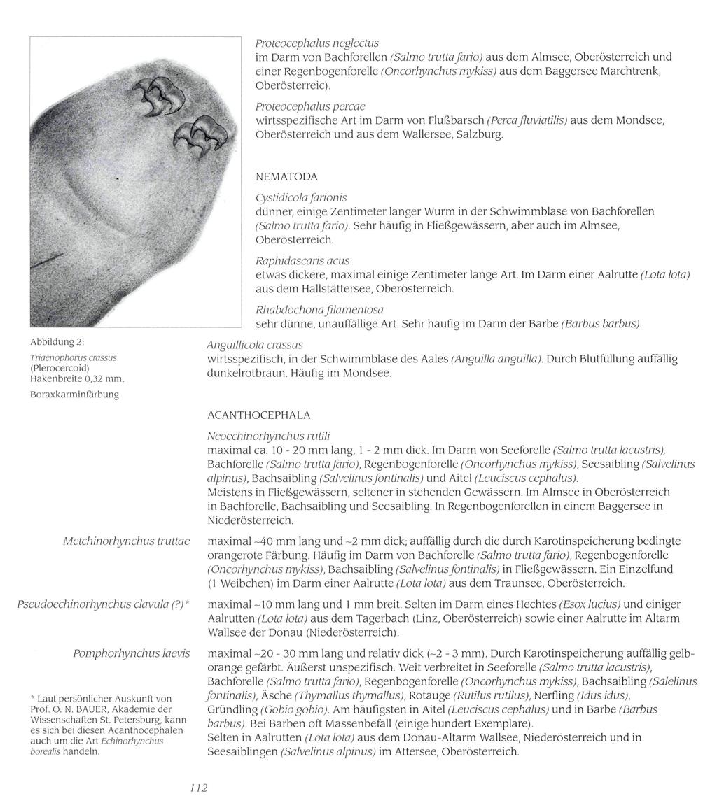 Österr. Ges. f. Tropenmedizin u. Parasitologie, download unter www.biologiezentrum.