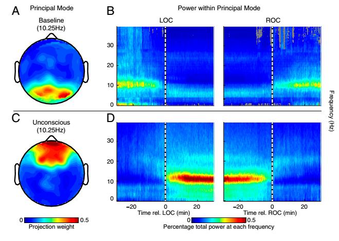 (spatially coherent occipital alpha mode shuts off and a spatially coherent