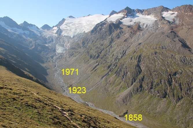 Abhängig davon zeigen sich enorme Unterschiede in der Vegetation. Pionierarten nehmen zur Gletscherzunge hin zu, während die Artenzahl abnimmt (Mallaun 2001).
