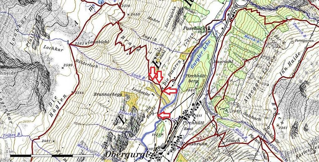 Nach der Überquerung des Loobbaches führte die Route entlang des Rückens Brand bis in eine Höhe von genau 1893 m (bei Mahd Stuhl ) (Abb. 26). Der Standort von Senecio abrotanifolius var.