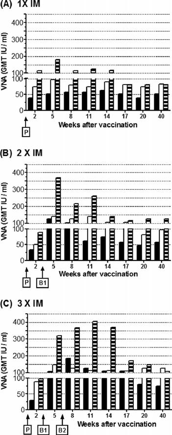Anti-Rabies ORFV (Parapoxvirus) Recombinant FIG 5 Duration of immunity mediated by D1701-V-RabG. Mice were i.m. immunized once (A), twice (B), or (C) thrice in 3-week intervals (P, prime; B1, boost 1; B2, boost 2) with the indicated amounts (PFU) of D1701-V-RabG.