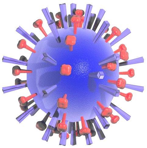 B a k t e r i e n / V i r e n U n t e r s c h i e d 6 Unterschied zwischen Bakterien und Viren Viren sind die kleinsten Krankheitserreger.