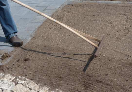 Bodenvorbereitung für die Neuanlage Wurzeln und Steine Absammeln.