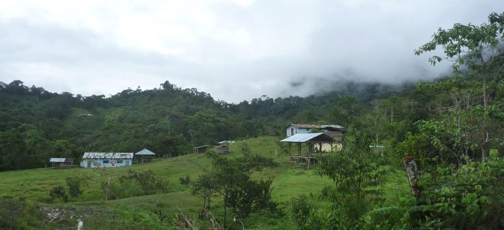 Felipe Pinglo Alva Dorf im Bergregenwald 45 Familien disperse Dorfstruktur Von Tingo María: 1 Stunde Autofahrt + 1 Stunde