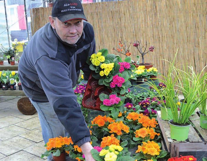 Damit die Blumen, Sträucher und Stauden auch im eigenen Garten gut gedeihen, bietet der Pflanzenmarkt Wittlaer die passenden Dünger