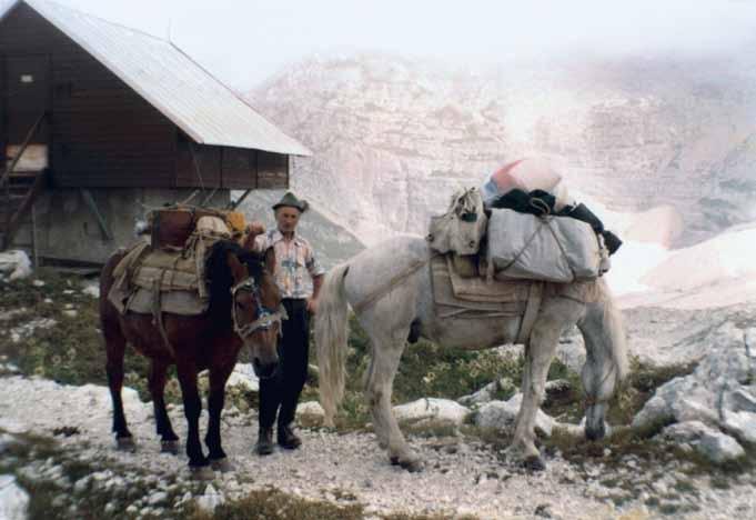 TEMA MESECA Nekateri so nosili tudi s "kravami" Alojz Kravanja Prehodavci Dušan Škodič Alojz Kravanja s konjema na Prehodavcih (družinski arhiv) Alojz, doma iz Loga v Trenti, je letih med 1975 in