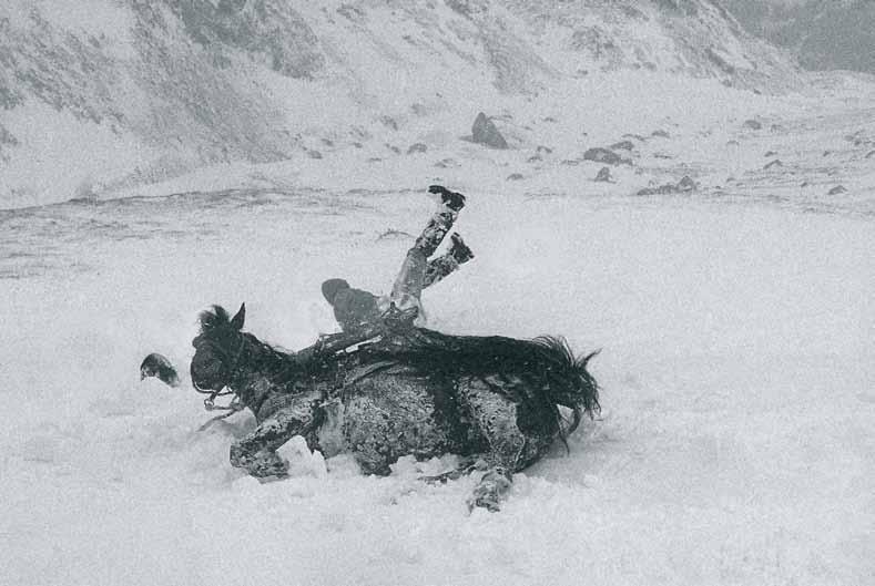 TEMA MESECA Na hrbtu in ramenih Oskrbovanje koč nekdaj Marjan Bradeško Nagrajena fotografija padca Psnakovega konja v snegu pod Kredarico FOTO: JOCO ŽNIDARŠIČ Zaključeval sem gimnazijska leta, mlado