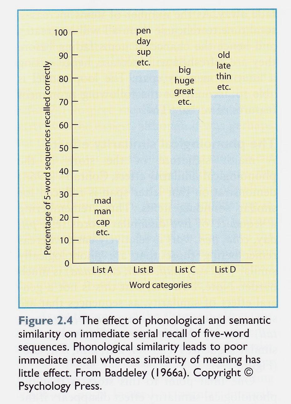 Baddeley (1966) Probanden lernten 4 Arten von Wortlisten á 5 Wörtern Phonologisch ähnlich (man, map, can, mad, cat ) Phonologisch