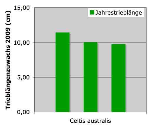 2009) Für die Baumart Celtis australis konnten keine Vergleichswerte gefunden werden.
