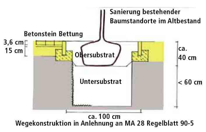 Aus den Sieblinien des Ober- und Untersubstrates ergeben sich folgende Anteile für die einzelnen Korngrößenbereiche: Schönbrunner Mischung neu Obersubstrat Kies/Schotter 63-2 mm 38% Sand 2-0,063 mm