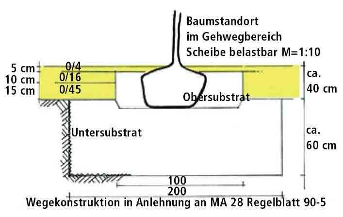 6 Schönbrunner Mischung neu Ober- und Untersubstrat Der Einbau des Ober- und Untersubstrates kann nach zwei Varianten erfolgen. Bei Variante 1 ist der Standraum begrenzt.