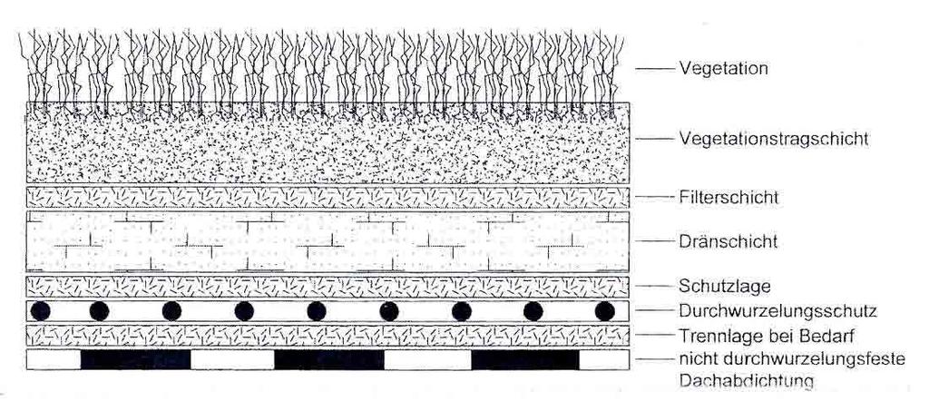 Abb. 27 Grundsätzlicher Schichtaufbau für Dachbegrünungen in schematischer Darstellung (ONR 121131, 2008, 21) Ab einer Schichtstärke von 120 cm kann mit geeignetem Material ein natürlicher