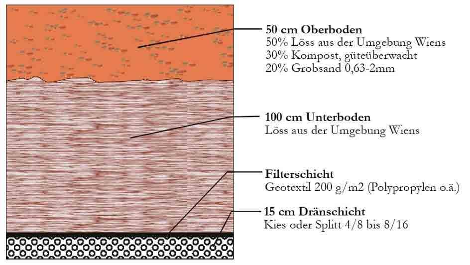 Abb. 29 Aufbau des vorgeschlagenen Substrates auf Tiefgaragen in Wien (FLORINETH, 2000, 34) Folgende Eigenschaften sollten die einzelnen Schichten der Dachbegrünung aufweisen: 2.3.2.1 DRÄNSCHICHT Laut FLL (2002) sollte der Anteil an Bestandteilen d<0,063mm höchstens 7 Massen-% betragen.