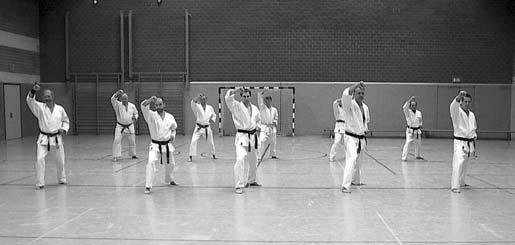 Dan Jiu-Jitsu) die Grundprinzipien des Taekwon-Do vermittelt. Der Schwerpunkt lag hier auf den Fußtechniken.