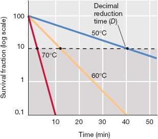Hitzesterilisation und Pasteurisierung Pasteurisierung: kurze Hitzebe