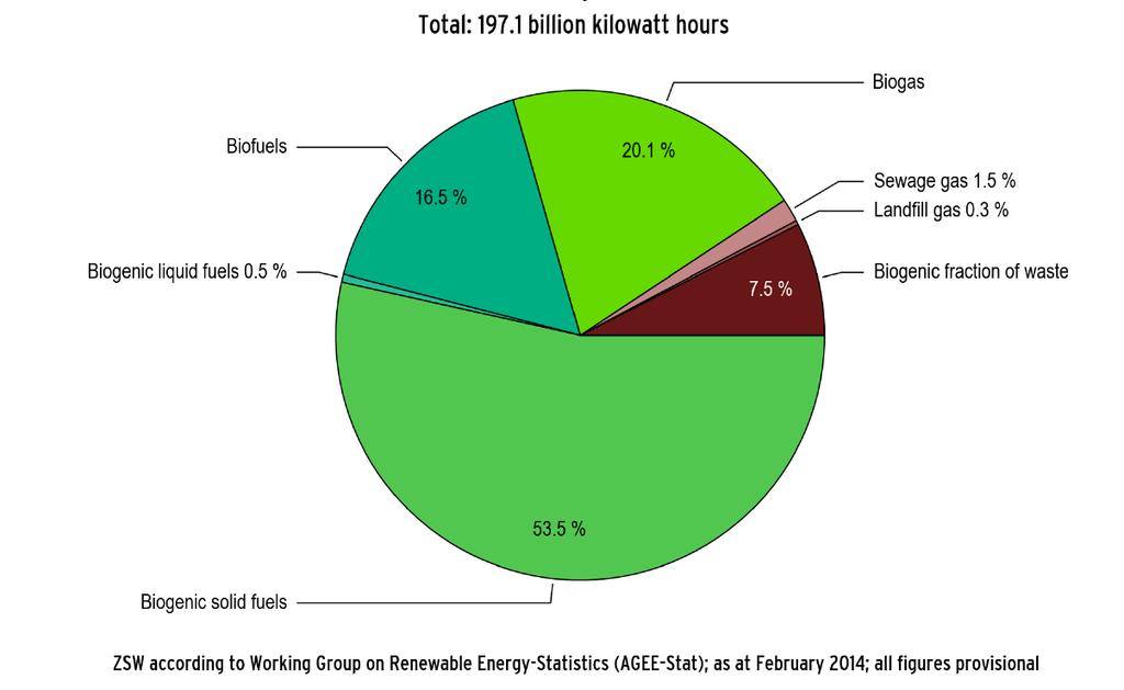 Final Energy from Biomass in Power, Heat, Motor Fuel 5,3% of total