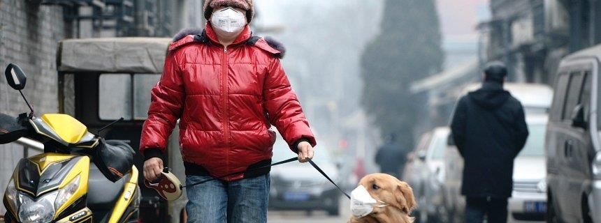 Problem Stickoxid Negativbeispiel: Peking Mit 500mg/m³ überschreitet den Grenzwert von