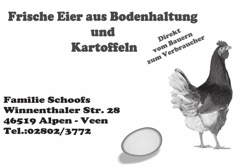 ALPENER REISEBÜRO Sie können mit Bällen Dosen umwerfen, Nägel in große Holzbretter einklopfen, können mit einem Lasergewehr schon einmal fürs Schützenwesen trainieren oder sich auf der Hüpfburg