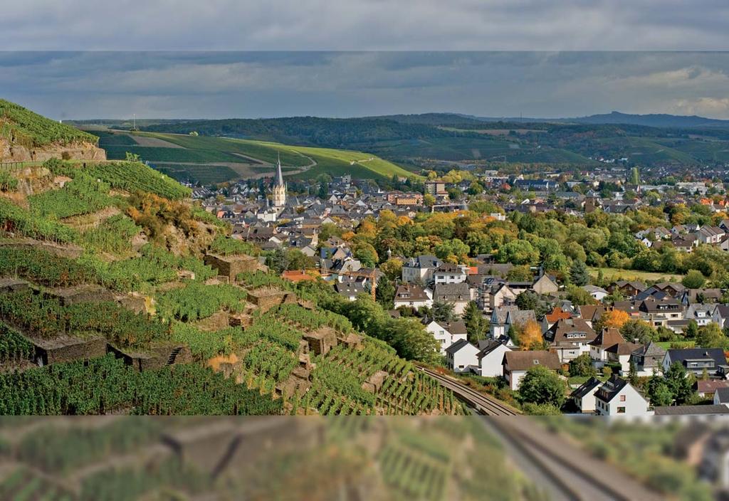 2010 RHEINLAND-PFALZ REGIONAL Kreisfreie Städte und