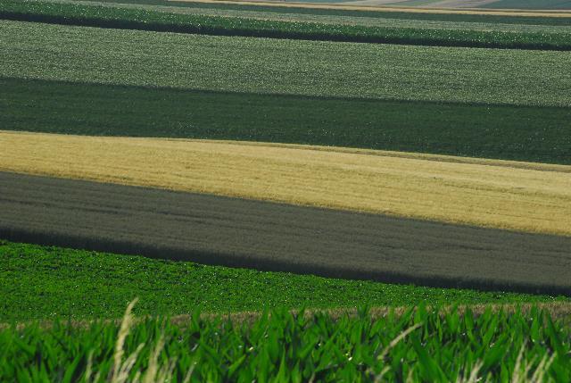 Landwirtschaftsflächen Nutzungsarten: Unland, Grünland, Gartenland und