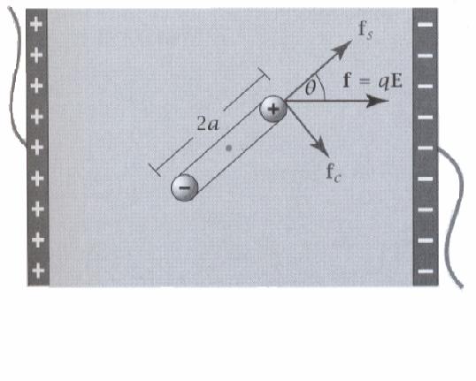 Das Dipolmoment ist ein Vekto µ= q l In de unteen Abbildung ist die Kaft auf einen Dipol in einem