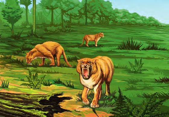 Tertiär Leben auf der Erde Katze mit extremen Zähnen* Vor über 50 Millionen Jahren kollidiert Indien mit Asien, und in der Folge bildet sich allmählich das Himalayagebirge.