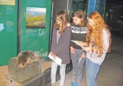 Seite 18 12. Februar 2016 Celina Schlegel, Fenja Seifert und Maxi Semrau (v.l.) informieren sich über den Seehund. Niklas Thormann und Max Koßow (v.l.) erforschen das Ozeaneum hier einen Schweinswal, der sich in der Ostsee fortpflanzt.