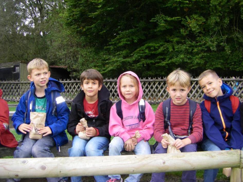 Dienstag, 30. September 2014 Ausflug in den Wildpark Poing Mit zwei Bussen fuhren alle zweiten Klassen und eine Klasse aus der Grundschule Lochham zum Wildpark Poing.
