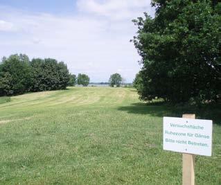 Hecken oder Blocksteine erfüllen dieselbe Funktion und können ästhetisch in das Landschaftsbild eingepasst werden. (Schwimm-)Barrieren vor Stränden (im Bild eine Testversion).