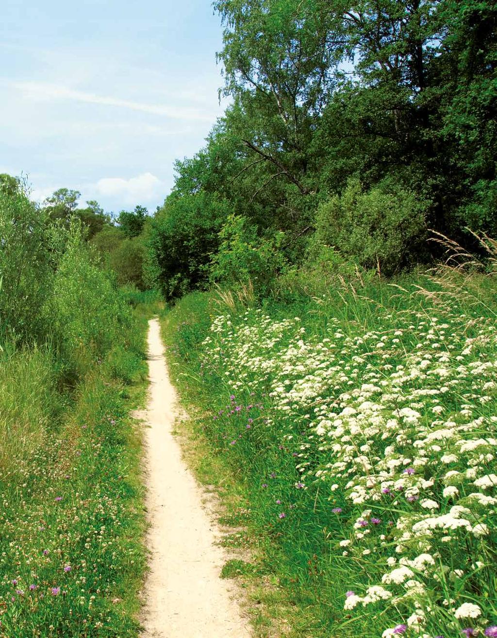 Wandern rund um die und den Streckenlänge: ca.