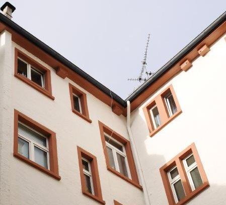 Da sind uns Hinweise auf bereitwillige Hausbesitzer besonders wichtig, um bei Dacherneuerungen vom Gerüst aus neue Nistplätze einrichten zu können.