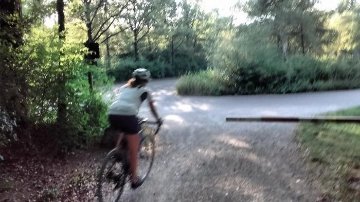 Rad- Fußweg auf dem forstwirtschaftlicher Verkehr gestattet wird.