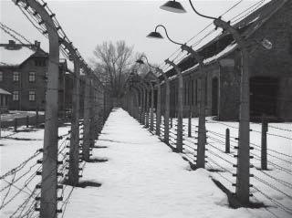 Der Wahlpflichtkurs Gesellschaft der Jahrgänge 9 und 10 besuchte Ende Januar 2007 das Konzentrationslager Auschwitz (Oswiencim) in Polen und wohnte dort für eine Woche in der Jugendbegegnungsstätte.