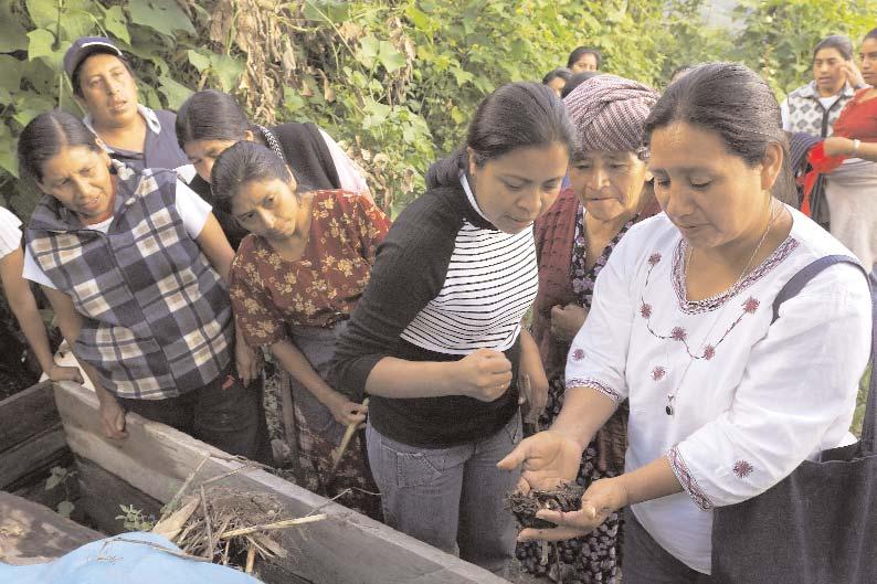 Seite 10 Brot-für-die-Welt-Projekt 2007 Mexiko: Gemeinsam kann man viel bewegen Die Bauernfamilien der Mixe haben trotz Kaffeekrise und Globalisierung einen zukunftsweisenden Weg gefunden: Sie setzen