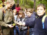 Barfuß im Wald Im Wald vom Wald lernen lautet das Motto der Waldpädagogik.