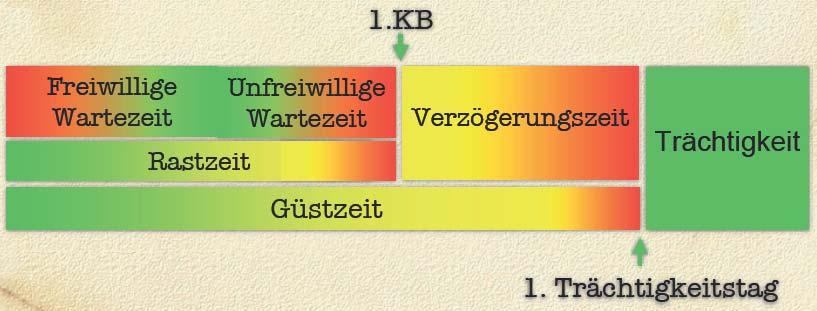 Praktische Beispiele der Leistungsbeurteilung anhand von LKV-Daten Fruchtbarkeitsrelevante Zahlen Tabelle 2: Fruchtbarkeitsrelevante Zahlen Referenzwert Retentio sec.